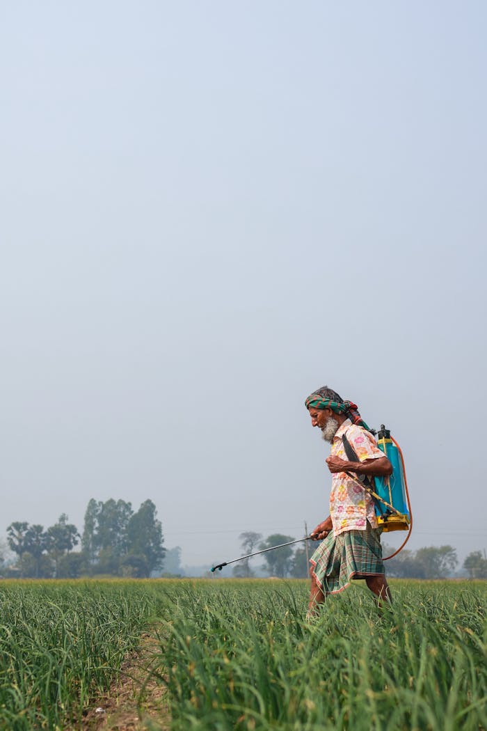 A farmer uses a backpack sprayer on fields in Pabna, Bangladesh, promoting rural agricultural practices.