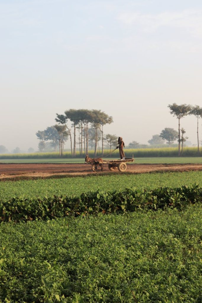 Farmer riding a horse-drawn cart through lush fields under a clear sky.