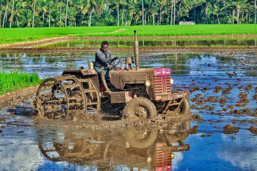 Tractor driven by a farmer in a muddy rice field, preparing for planting season.