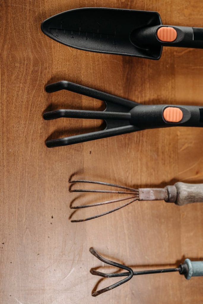 Flat lay of modern and vintage gardening tools on wood surface.